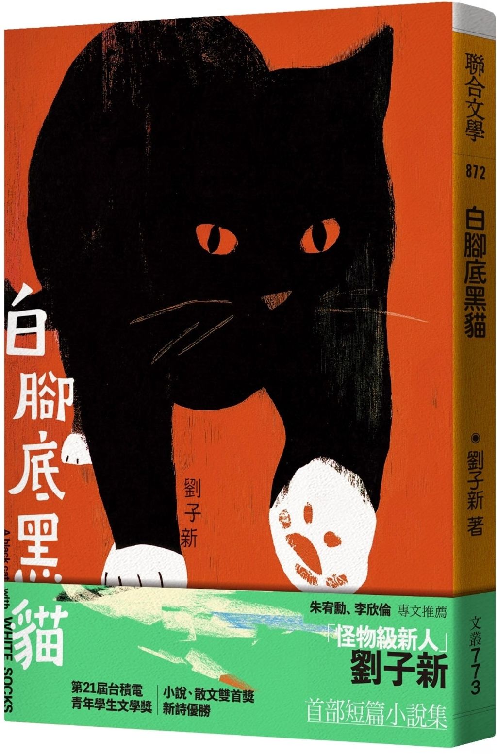白腳底黑貓