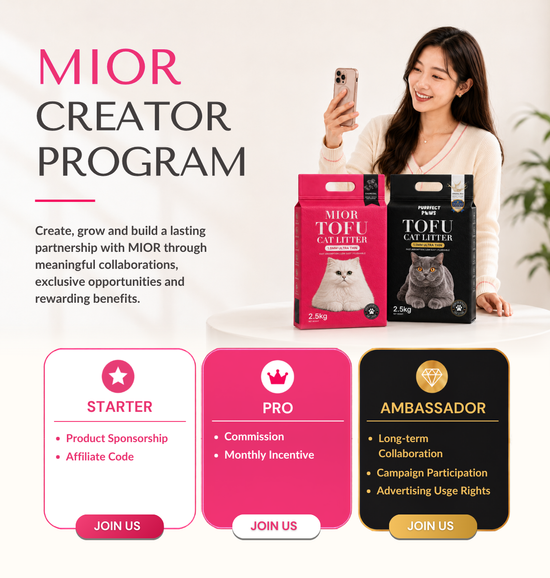  | Mior Official Store