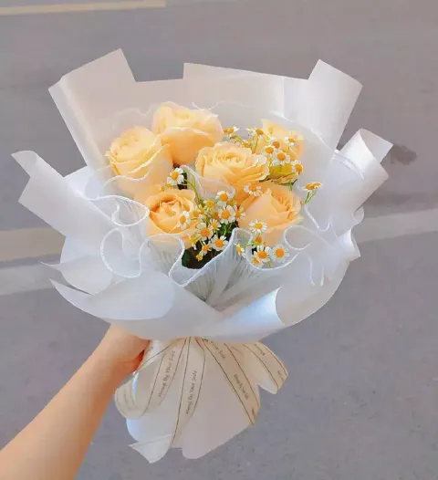 72985078