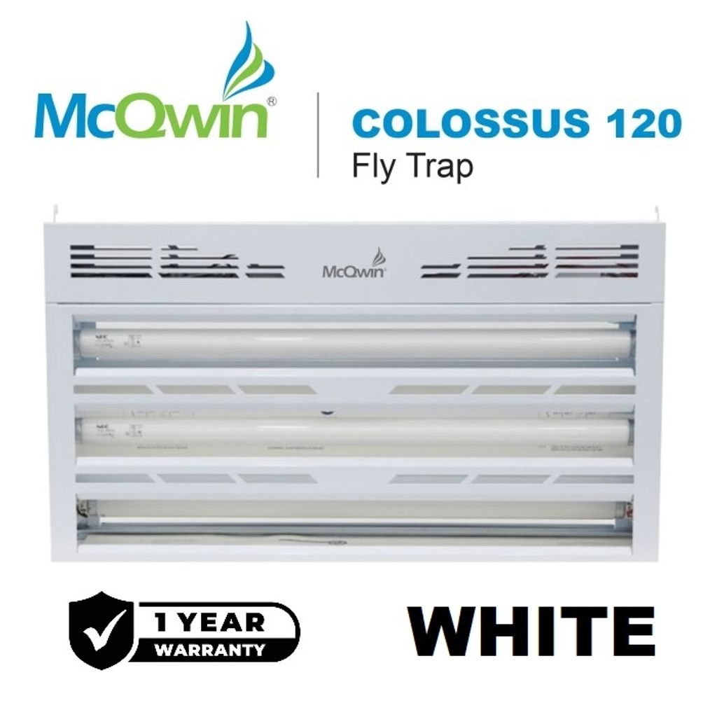 COLOSSUS120-TWHITE
