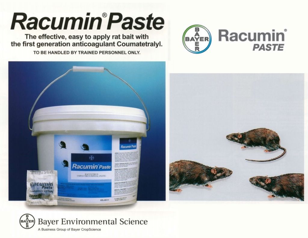 Bayer Racumin Paste (5kg) 500pack Rat Killer Rodenticide Bait – MY Power  Tools