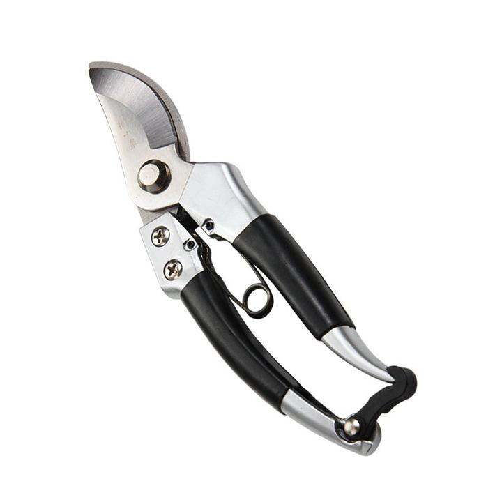 PRUNER-6.jpg