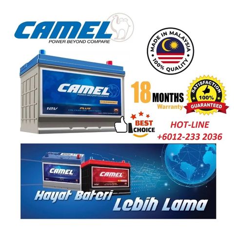CAMEL_PLUS-C2