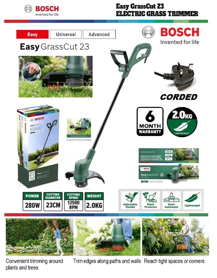 CUT23-C6