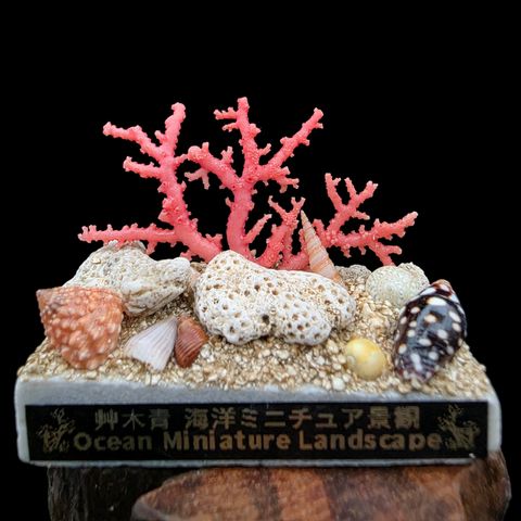 20260807_172252-Photoroom