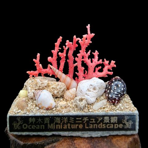 20260807_172400-Photoroom