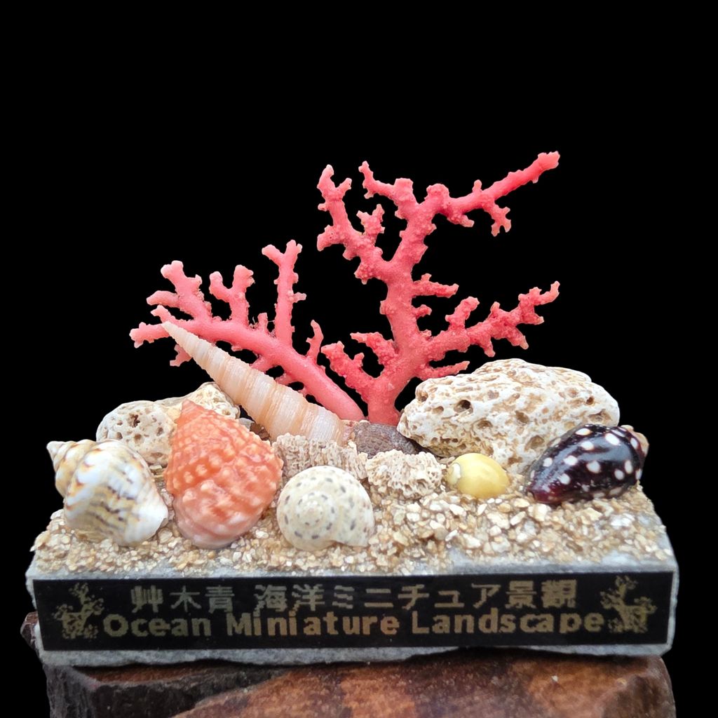 20260807_172601-Photoroom
