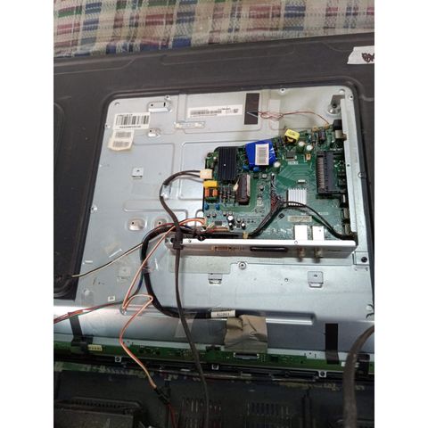 my-11134207-7qul1-lhjubu5ek7317c