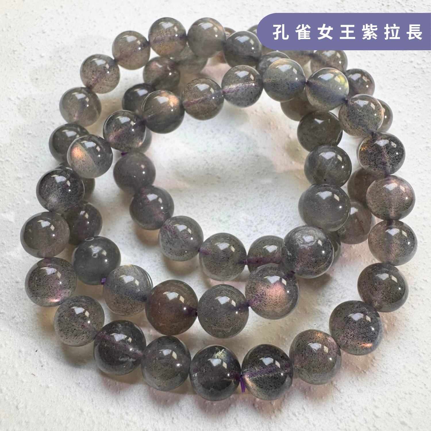孔雀女王紫拉長