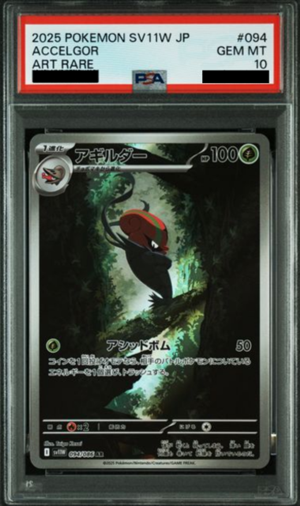 Slab Mozaic (2)