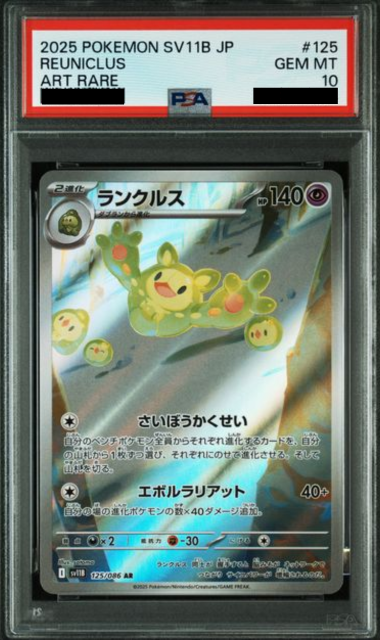 Slab Mozaic (2)