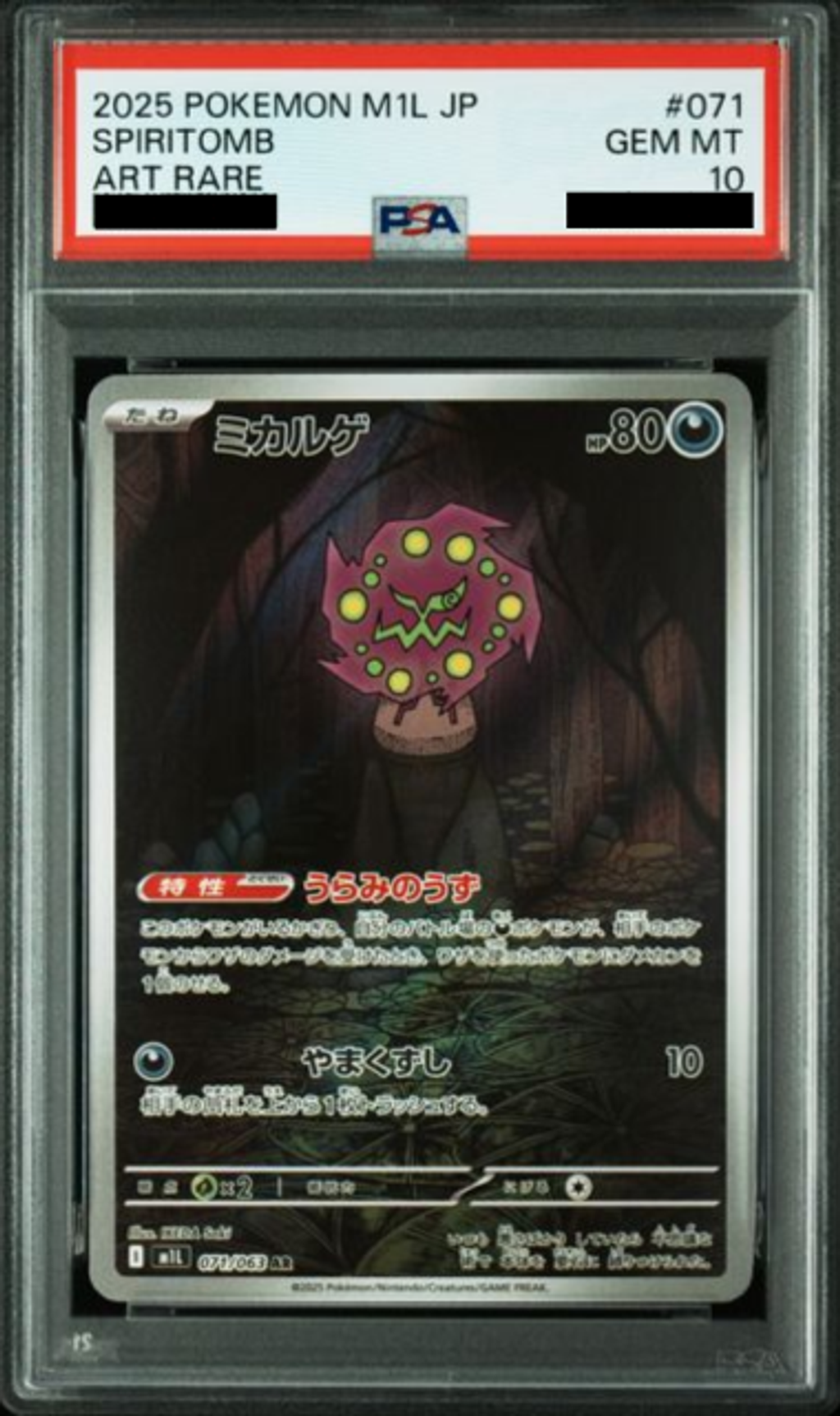 Slab Mozaic (2)