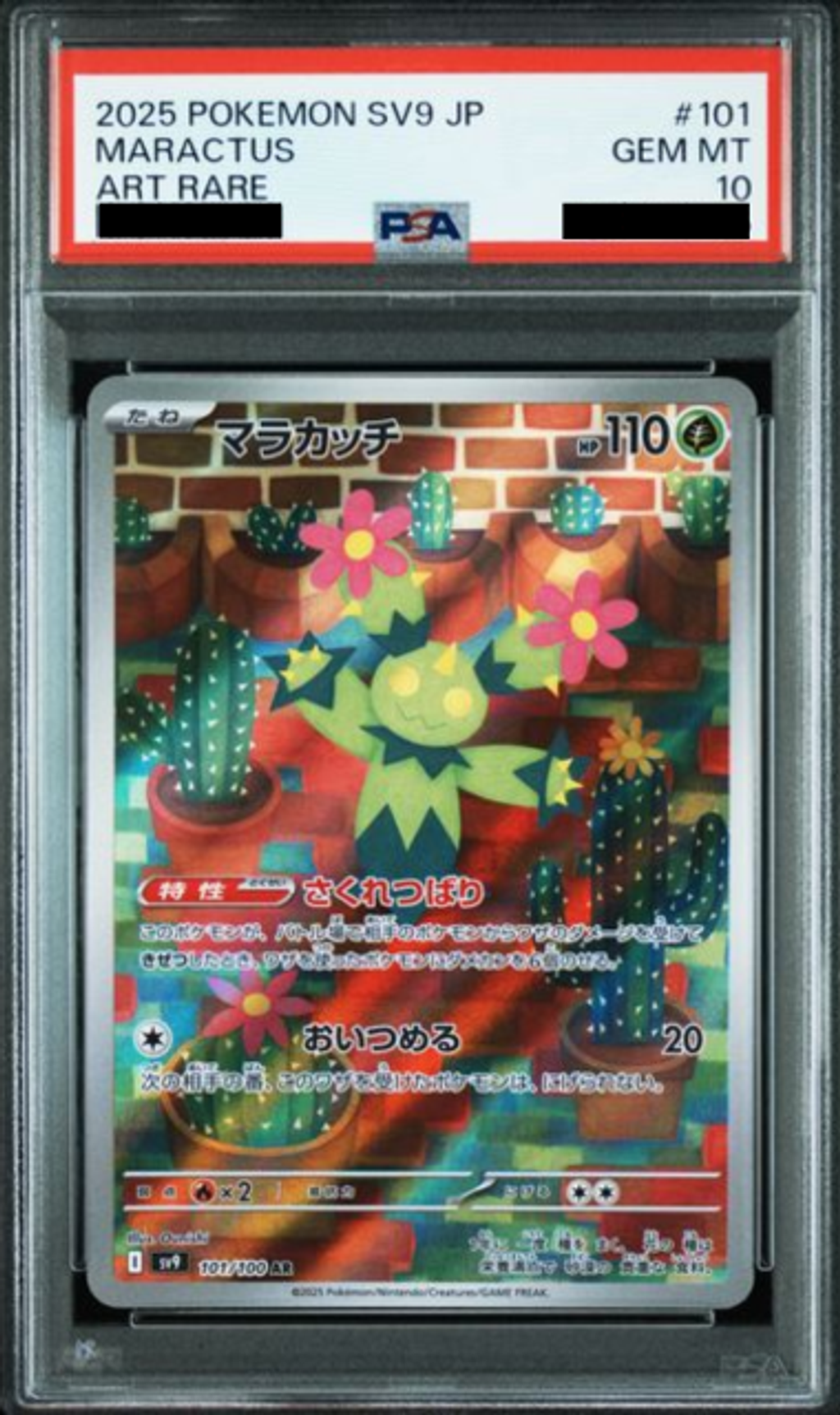 Slab Mozaic (2)