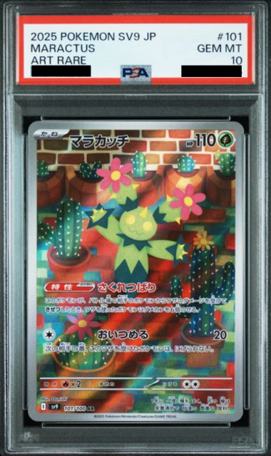 Slab Mozaic (2)