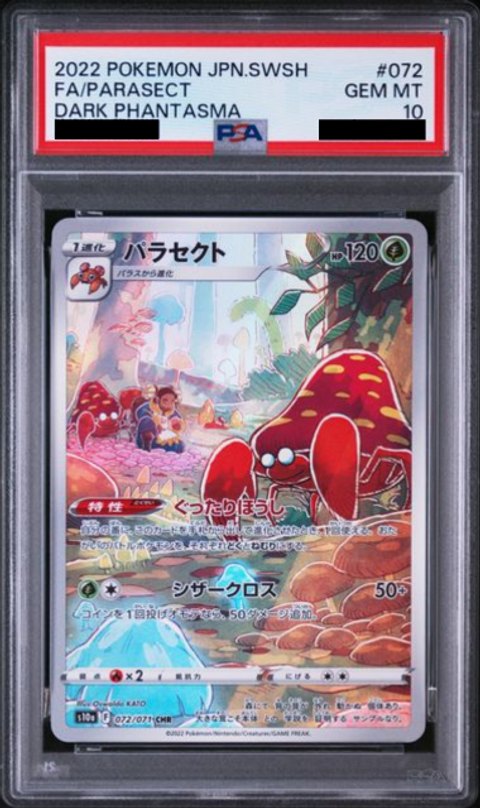 Slab Mozaic (3)