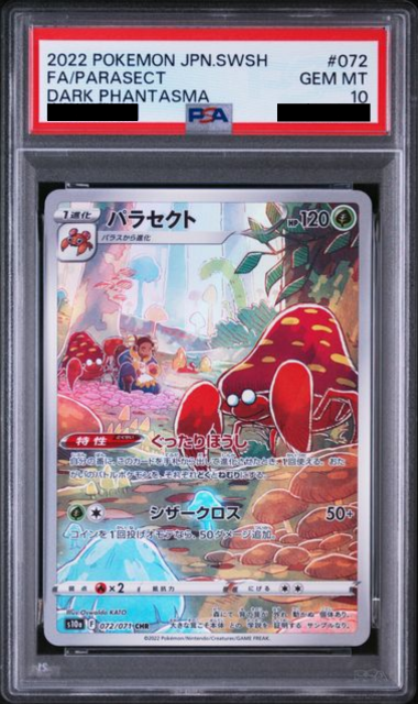 Slab Mozaic (3)