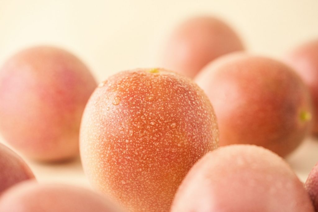 bluestar-fruit-closeup