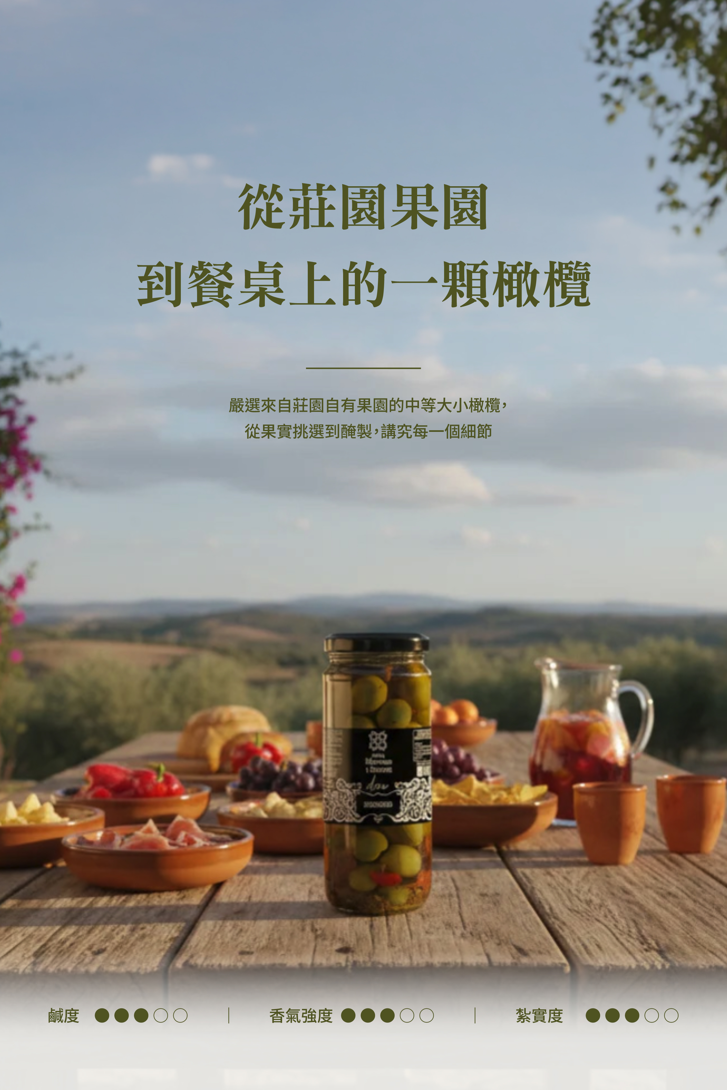 MB橄欖油之家_經典橄欖Landingpage-01