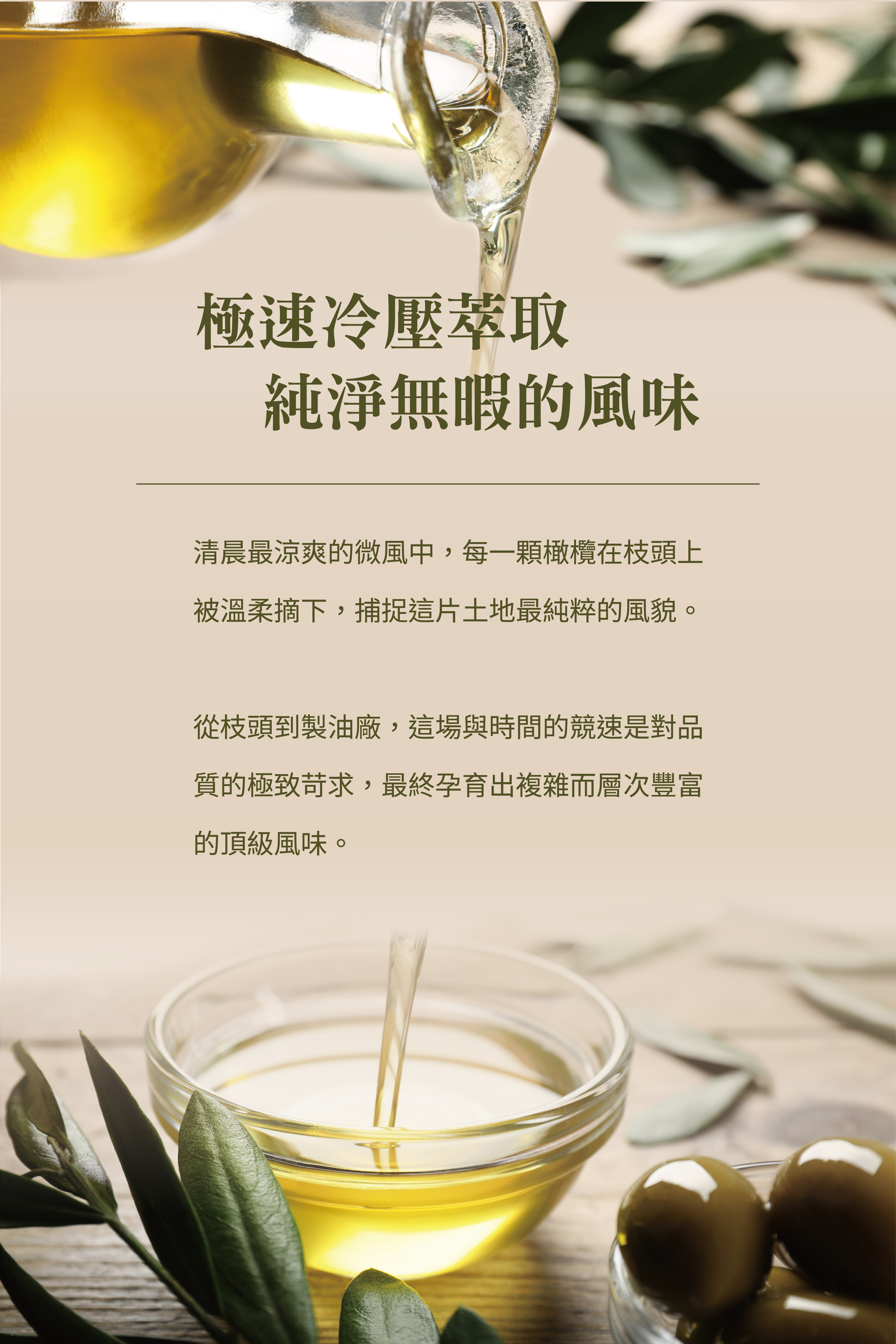 橄欖油_冷壓萃取