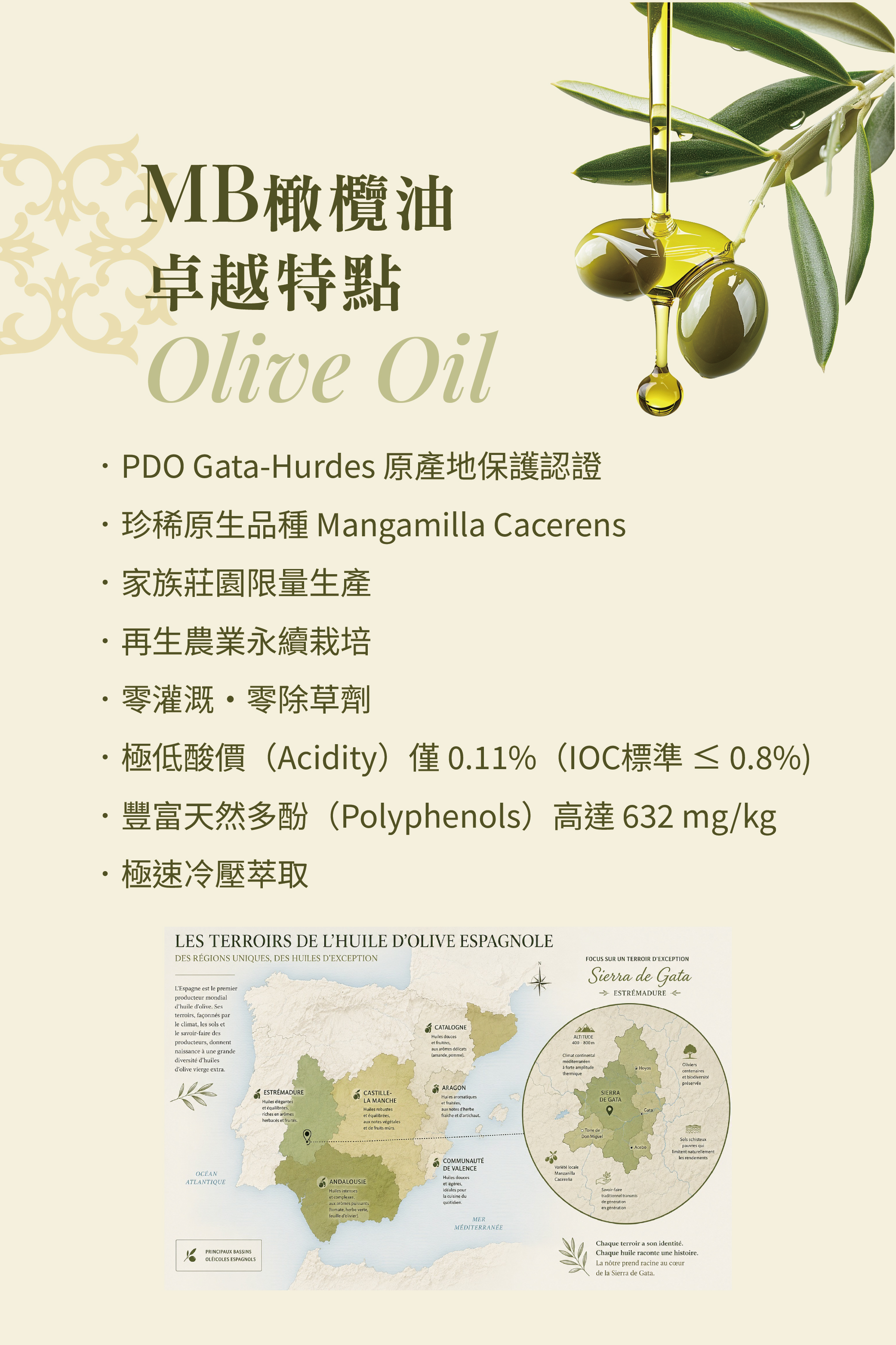 橄欖油_卓越特點