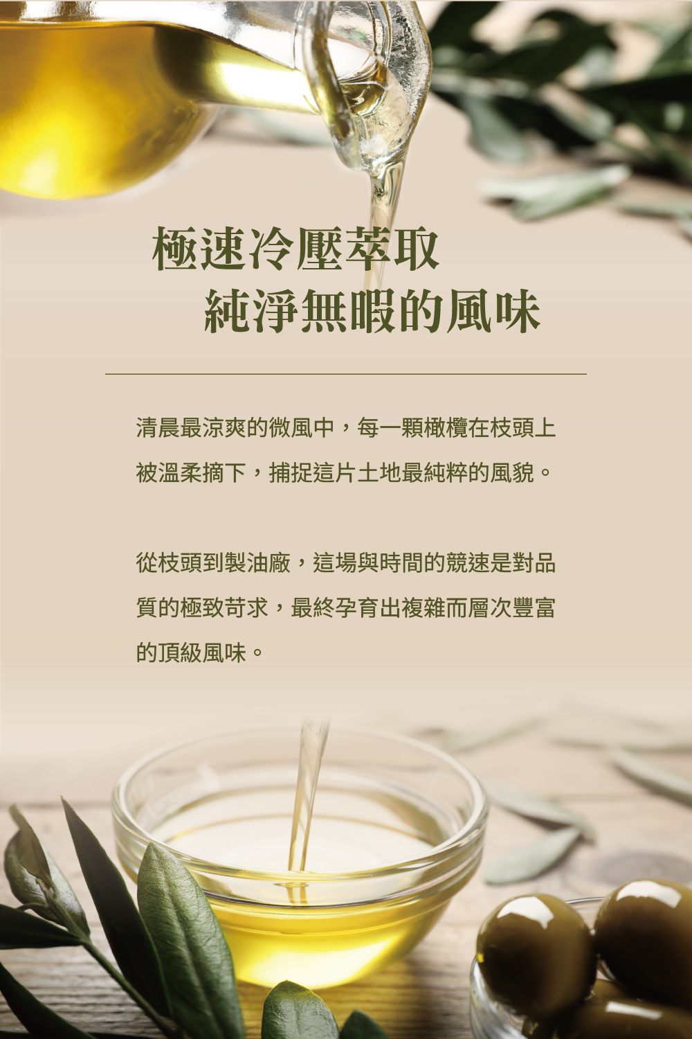 橄欖油_冷壓萃取