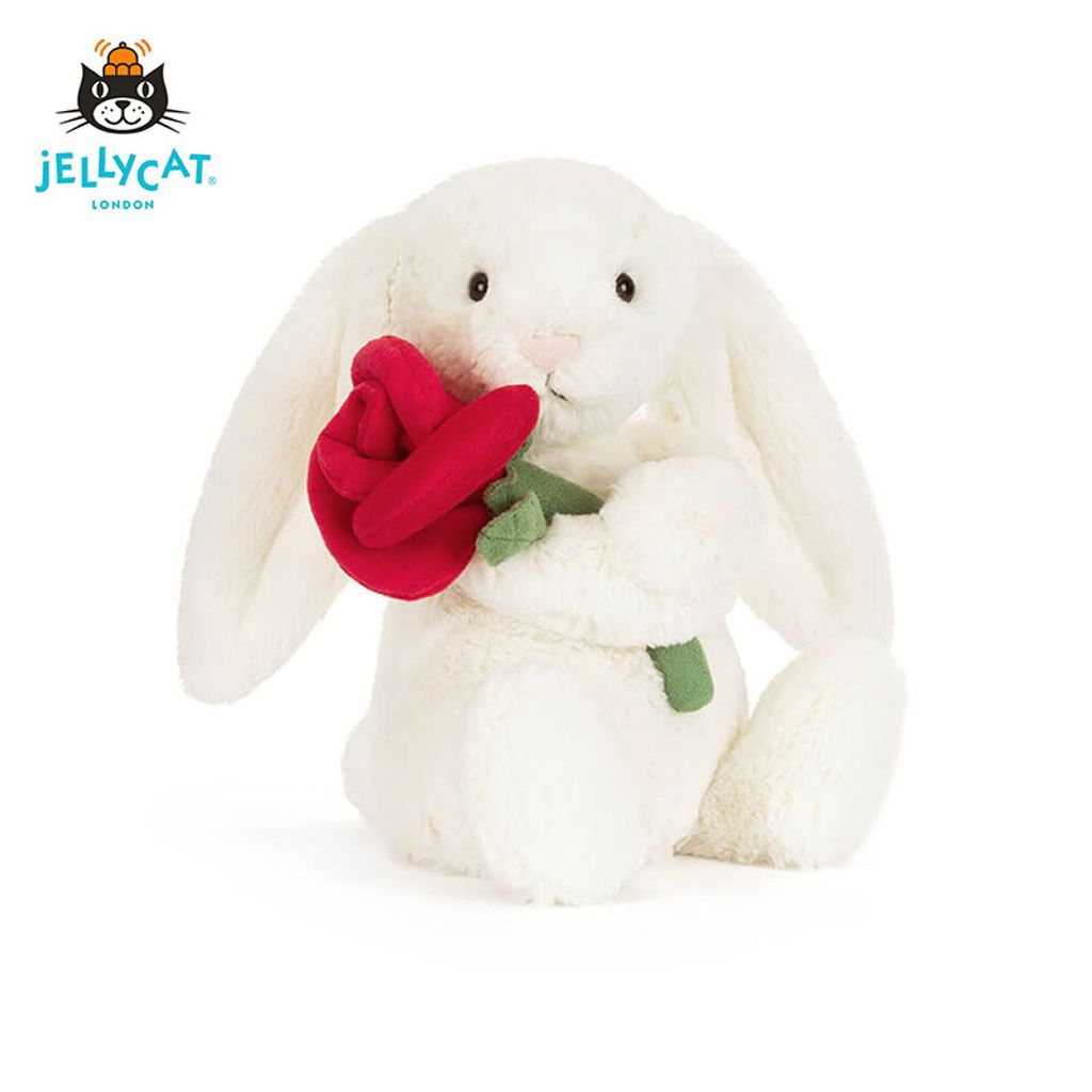ZN190 (1)