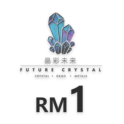 Payment Link - RM1