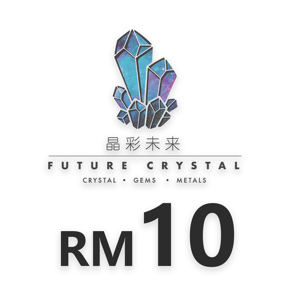 Payment Link - RM10