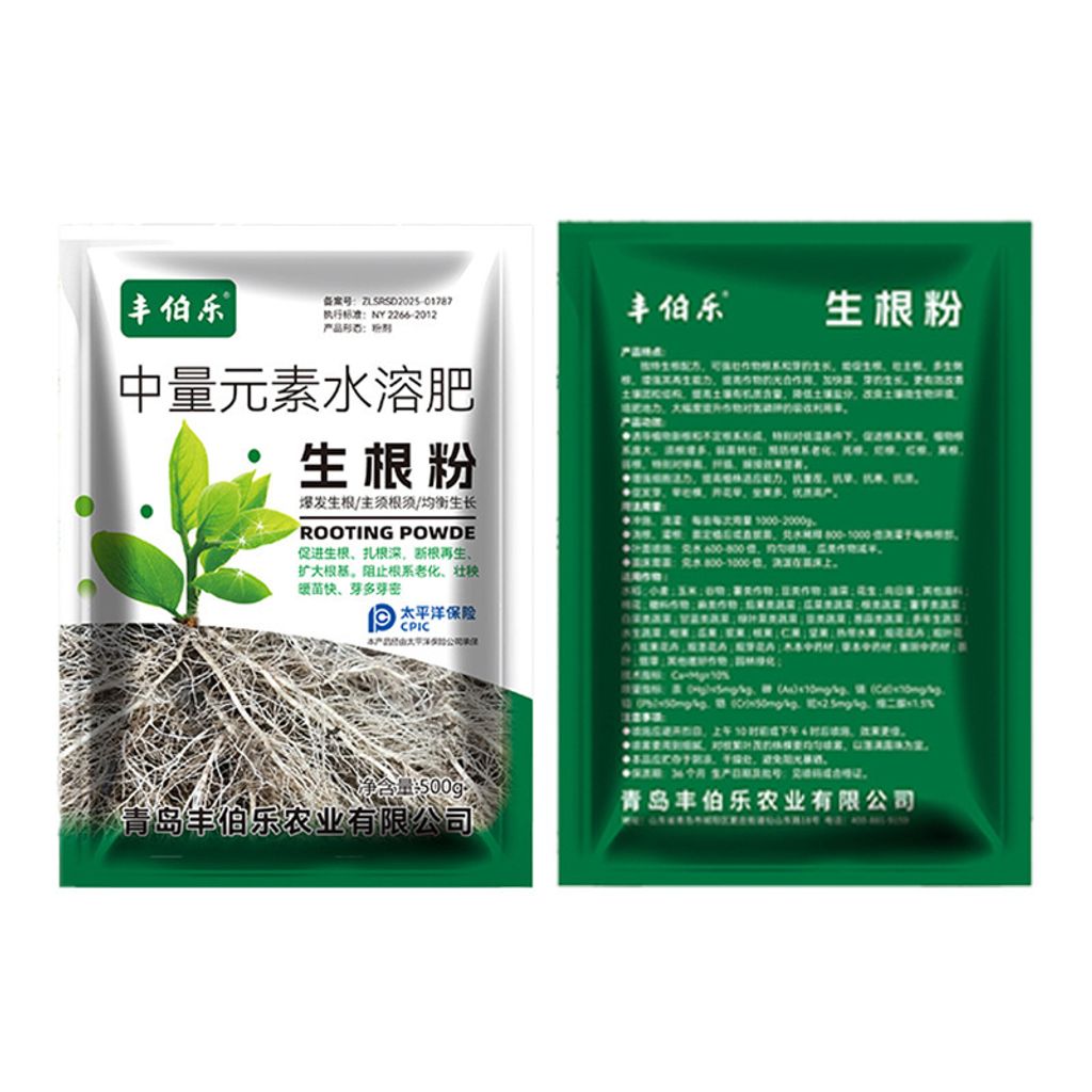 main-05 (1)