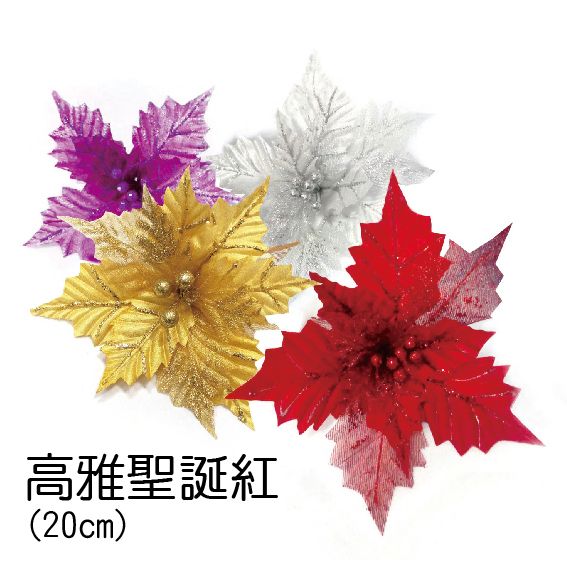 26-0313高雅聖誕紅