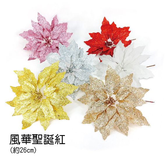 0369風華聖誕紅