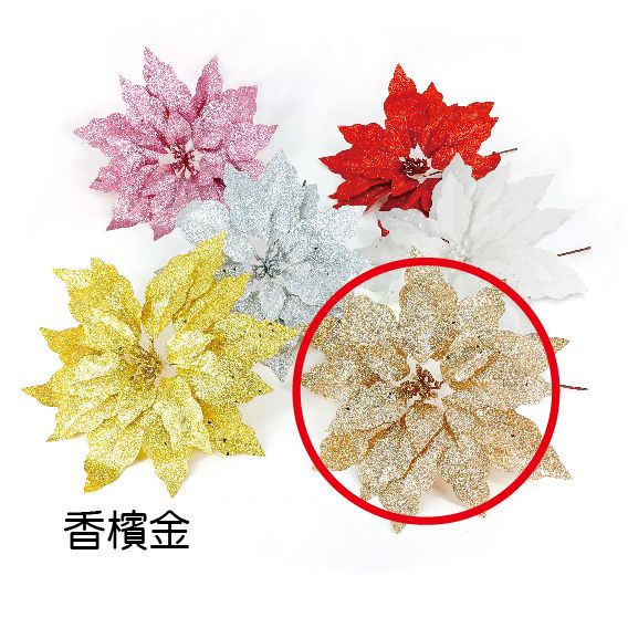 0369風華聖誕紅-香檳金
