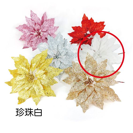 0369風華聖誕紅-珍珠白