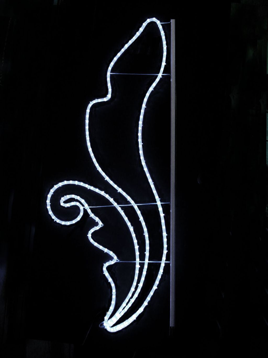 DSC01501-LED蕨類-白光-148x61cm