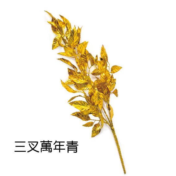 0420三叉萬年青