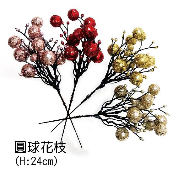 0429圓球花枝