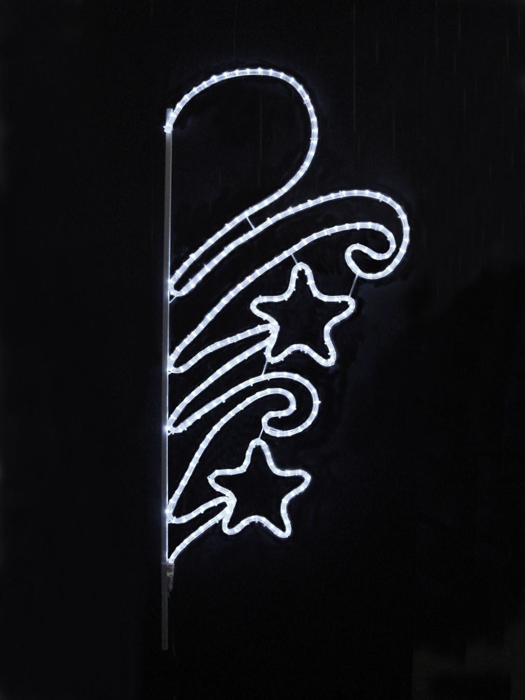 DSC01503-蕨類(星心)-白光-122(146)x60cm