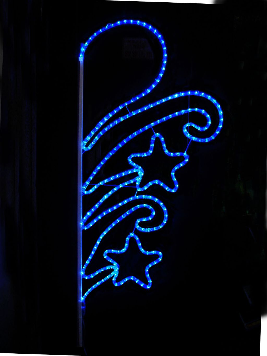 DSC01505-蕨類(星心)-藍光-122(146)x60cm