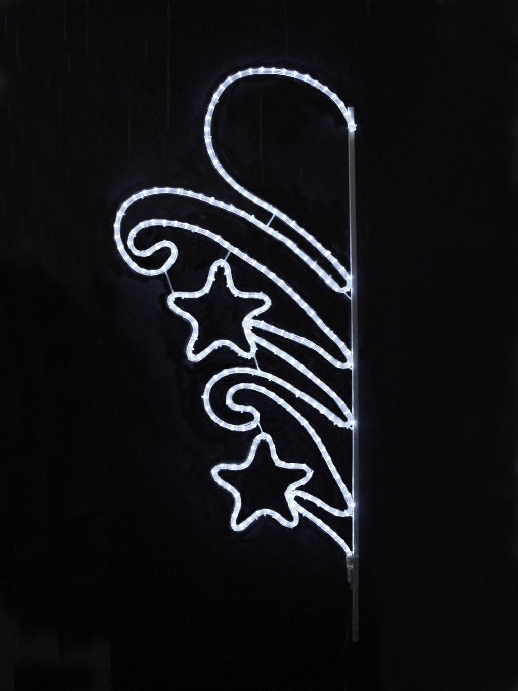 DSC01503-蕨類(星心)-白光-122(146)x60cm-1