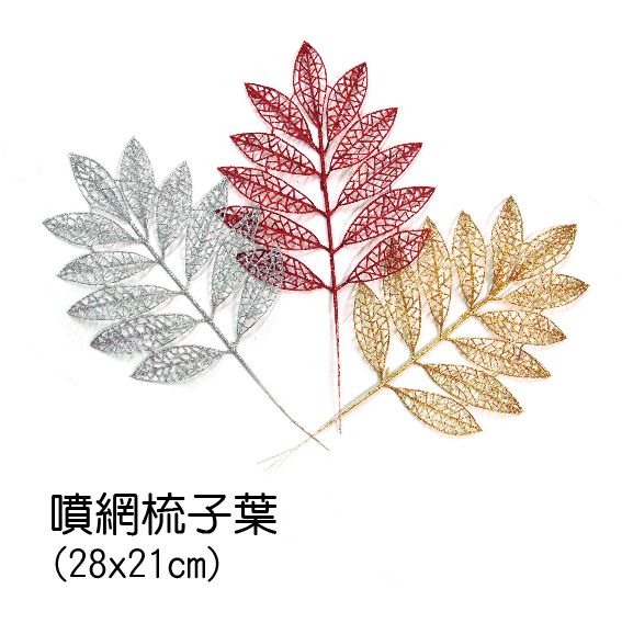 0412噴網梳子葉