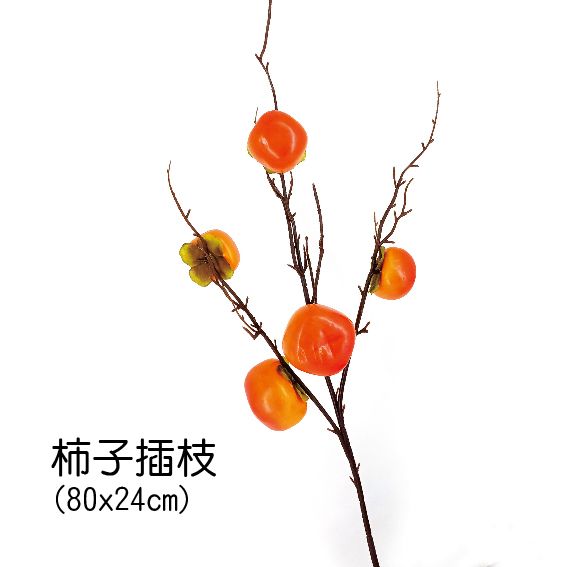 0426柿子插枝