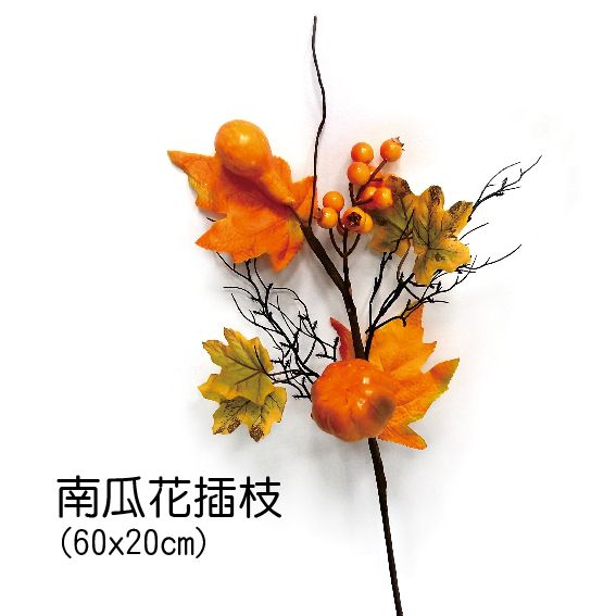 0417南瓜花插枝