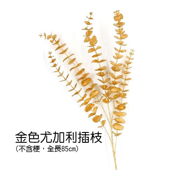 0433金色尤加利插枝