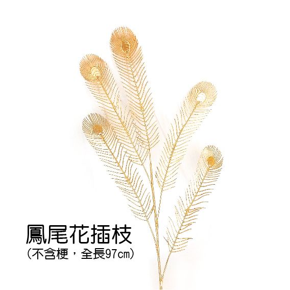 0435鳳尾花插枝