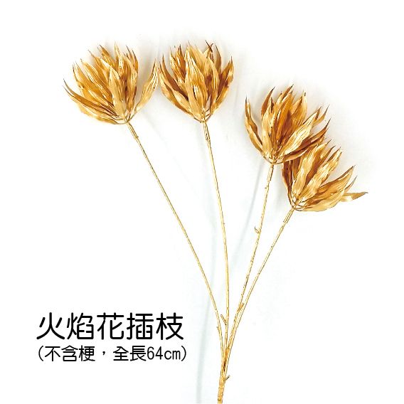 0654火焰花插枝