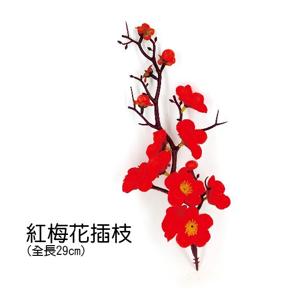 0440紅梅花插枝