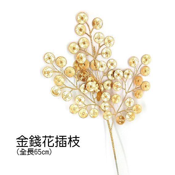 0419金錢花插枝