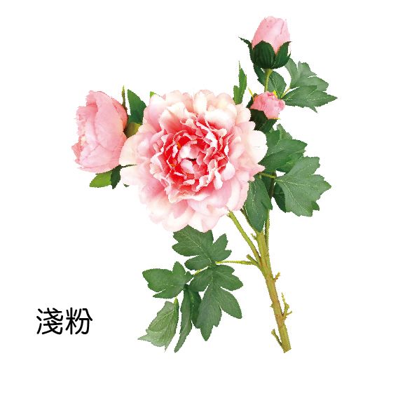 0402A牡丹花束-淺粉