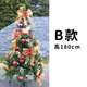 B款