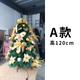 A款